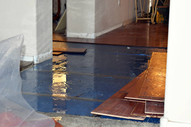 Professional Emergency Water Damage Restoration technician working in New Marshfield, OH